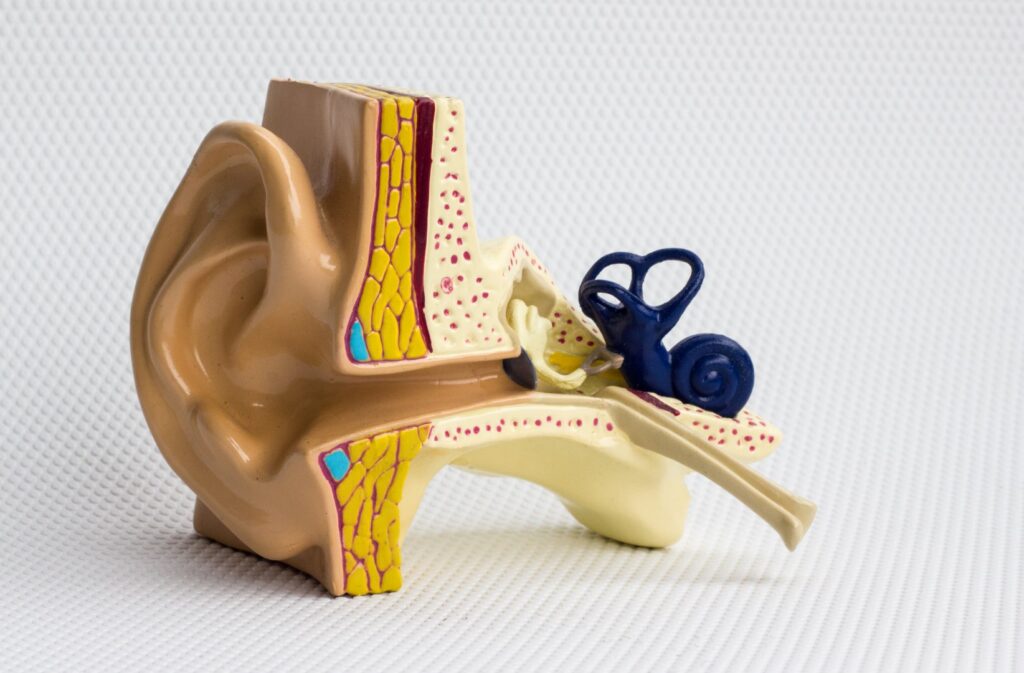 centro-de-audiologia